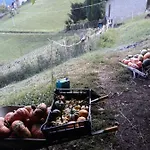 Graziosa, Casetta In Valgerola Nyaraló