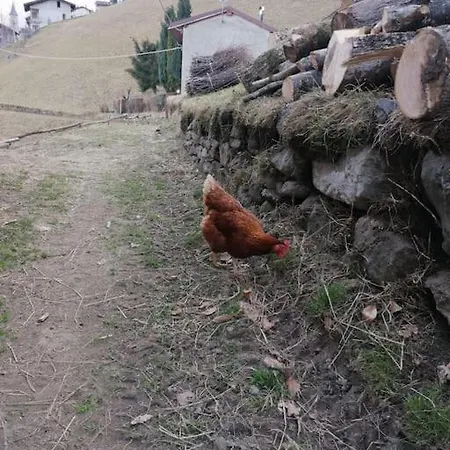 Graziosa, Casetta In Valgerola Rasura