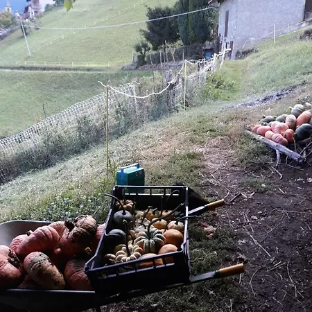 Graziosa, Casetta In Valgerola Dom wakacyjny